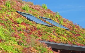Llanfihangel Y Traethau living roof systems